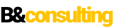 B&consulting